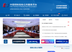 可正在线预览投标文件并进行合规性校验